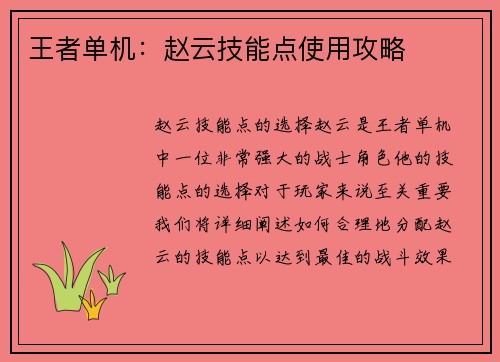 王者单机：赵云技能点使用攻略