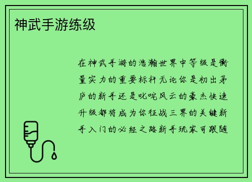 神武手游练级