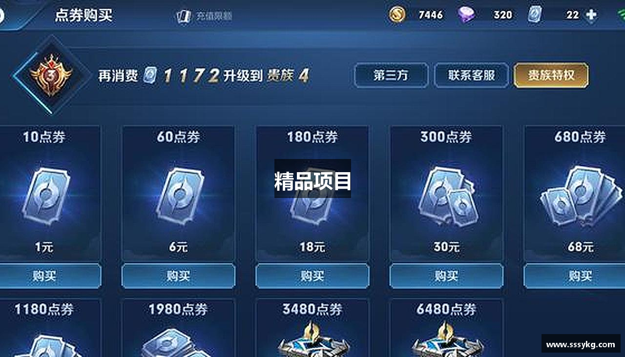 精品项目